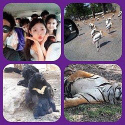 วันนี้อยู่ในเมืองพาหนุ่มสาวดูสัตร์ซาฟารีดูปลาแถวสยามไปลงเรือดินเนอร์กูดรอรับกลับโรงแรงถึงดึกก็คืองานของเราสุขใจ